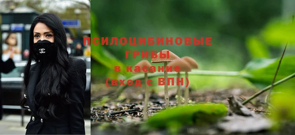 МДПВ Зеленодольск
