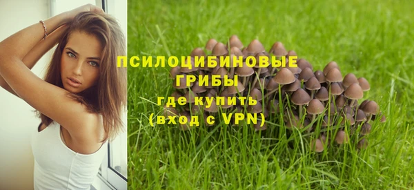 МДПВ Зеленодольск